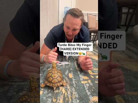 Turtle Bites My Finger (HARD) EXTENDED VERSION😩🐢#shorts #turtle