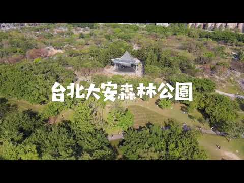 台北大安森林公園4K空拍天龍國豪宅信義勤美+台北101