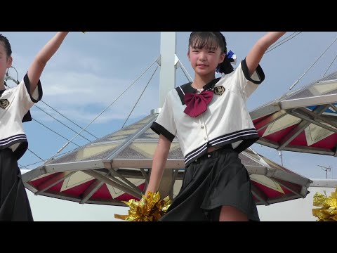 【チアダンスレインボー鳥取】「ダンスホール / Mrs. GREEN APPLE」2024.8.14【きなんせ広場】