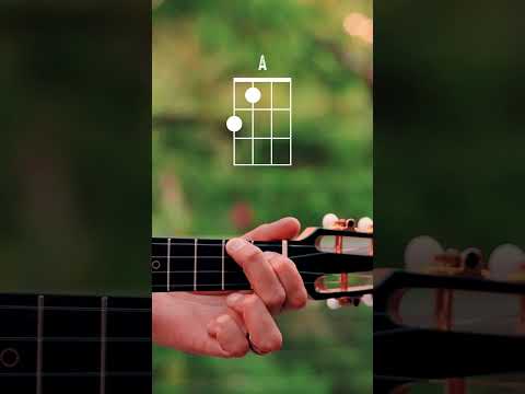 How To Play "A" Ukulele Chord // Beginner Ukulele Chord Series #1