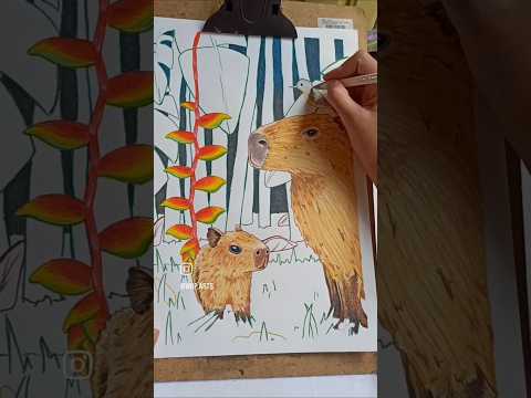 #desenho #ilustracion #lapisdecor #capivara