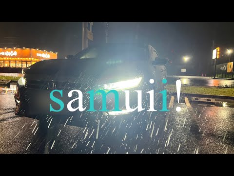 【日常vlog】夜の雨はインサイトで。