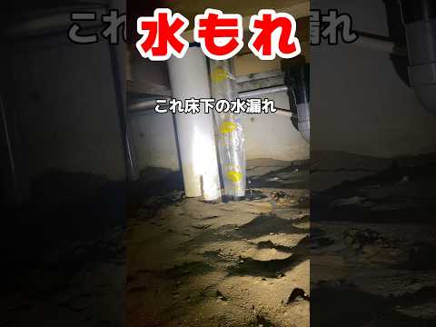 【床下の水もれ】原因はトイレのパッキン　#水もれ#水漏れ修理#shorts