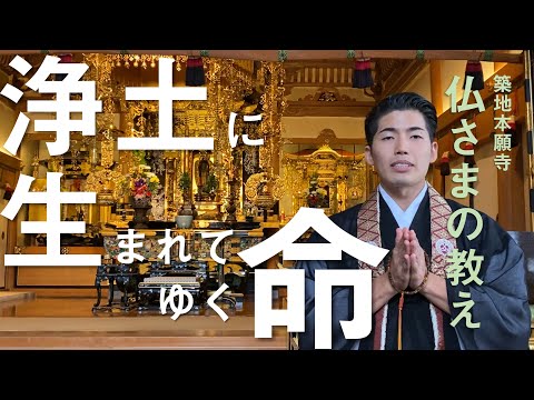 お坊さんのひとくち法話「浄土に生まれてゆく命」