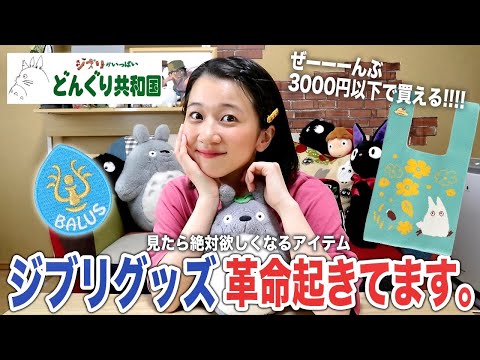 【購入品紹介】ジブリ界隈が今アツい。ほぼ3000円以下で買えるマストバイアイテム紹介します！