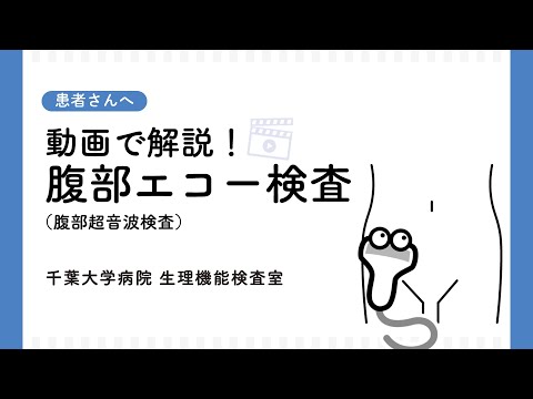 動画で解説！腹部エコー検査