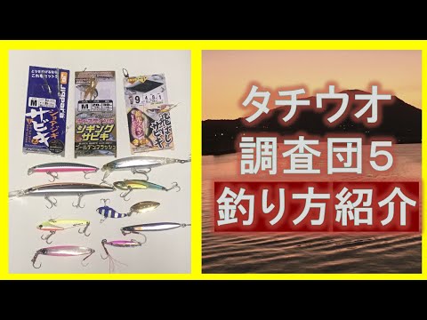 2019年10月13日現在　タチウオ調査団と青物他釣り方紹介　その5　　大阪湾　　おかっパリ　太刀魚　各釣り場の釣果情報　釣り場情報　　和歌山　大阪　神戸