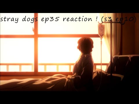 WHAT ABOUT THE AVACADOS~stray dogs ep35 reaction ! (s3 ep10)