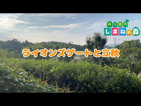 あつまれしまねの森　立秋とライオンズゲートピーク日にお散歩動画初めてみました