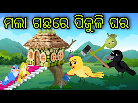 ମଲା ଗଛରେ ପିଜୁଳି ଘର | Mala Gachhare Pijuli Ghara | Tiki Chadhei Gapa | Odia Chadhei Gapa | New Story