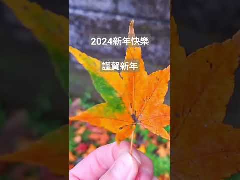 祝大家2024新年快樂！身體健康！希望今天下午日本北陸能登大地震一切平安！#日本北陸 #能登 #地震 #shortvideo #癒し動画