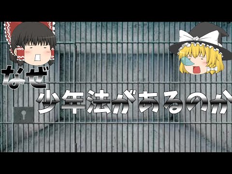 ▶解説◀ゆっくり解説  解説＆実況者が少年法を解説してみた！！