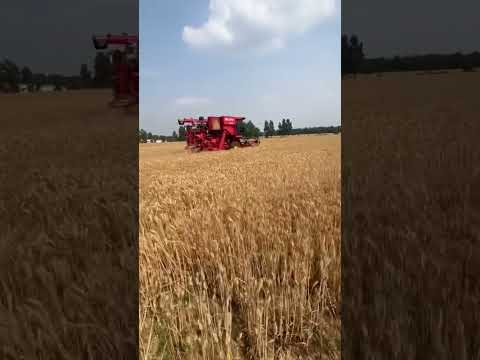 Weichai lovol combine harvester GM100