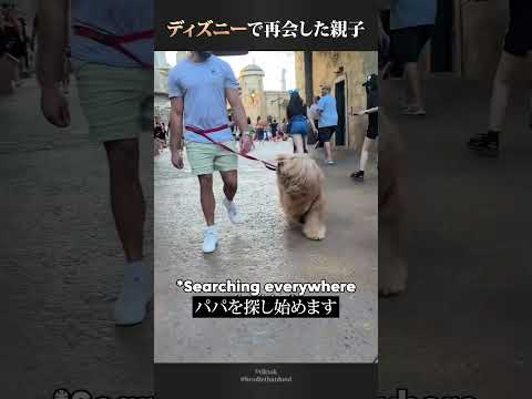 愛犬はディズニーランドで父親と再会を果たしました