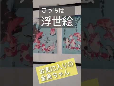 【おうち時間】イースマイル社員のおうち時間紹介③ #shorts