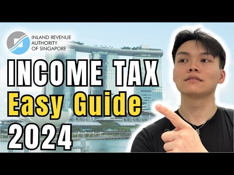 新加坡🇸🇬工作该报税吗？｜初学者必看的税指南 2024 ｜2024 Tax Relief Tips