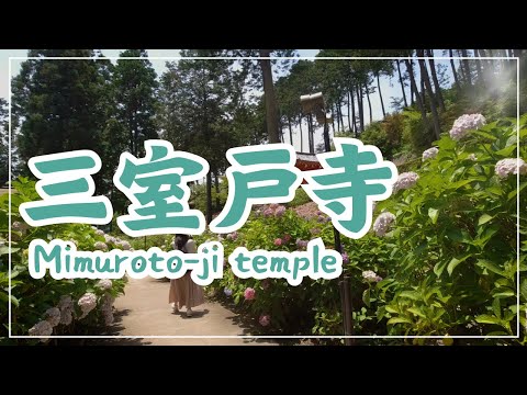 【3min Kyoto】3分で巡る「三室戸寺」~Mimurotoji temple, Kyoto Japan~