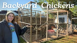 Backyard Chicken Coop Tour + Daily Care Routine🐓