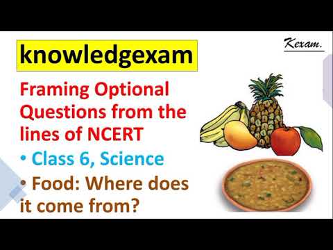 NCERT Examplar Questions of Class 6, Science. Chapter 1. kexam