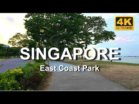 Singapore beach morning walk | Discover secret garden | Bird and nature sounds | 4K Walking  video