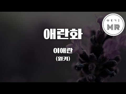 애란화 - 이애란 (원키C) 여기MR / Karaoke / Music / 노래방