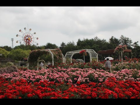 2020年 初夏の蜂ヶ峯公園 /  Concerto Pour Une Voix （ふたりの天使）