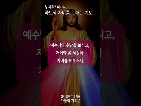 [가톨릭 기도문] 하느님 자비를 청하는 기도, 자비의 기도 (#shorts , 남자성우)