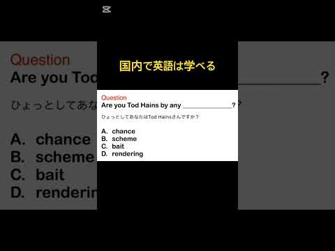 国内で英語は学べる　#英語学習者 #英語 #english #英語 #shorts