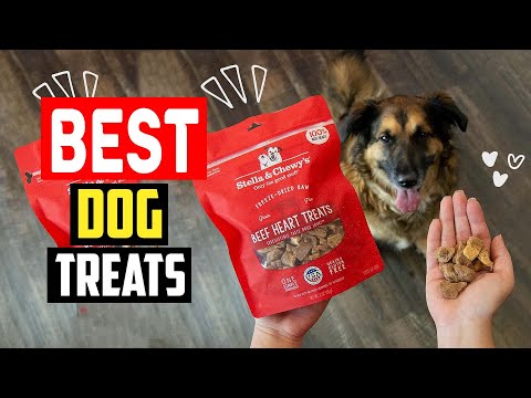 ✅Best Dog Treats in 2023