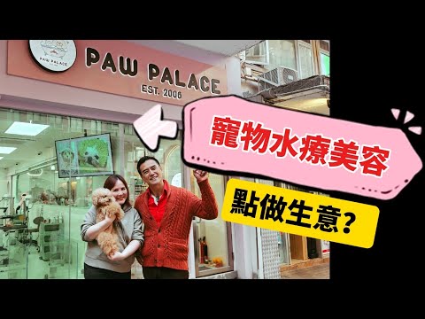 Live《 #寵物水療美容點做生意 ： #Paw_Palace 》by Nicky Ng #寵物水療美容創業