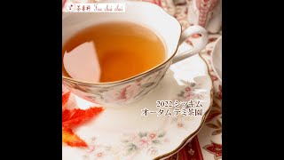 紅茶 シッキム オータム テミ茶園 2022