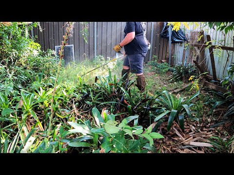 A Deep Dark SECRET Had This Overgrown Tropical Oasis NEGLECTED For Over A Decade!