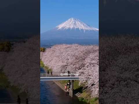 #japan - The Land of Rising Sun 🇯🇵🎋🥟🎎 #shorts #japanese #travel