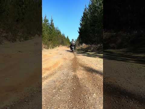 Zero Adventure Bike Takeoff #electricbike #adventurebike