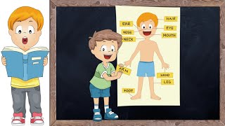 parts of the body | body parts name for kids | parts of the body song | toppo kids | #shorts