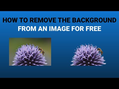 How to remove the background from an image and make it transparent