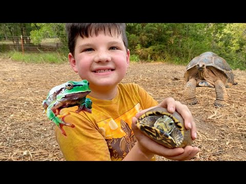 CATCHING GIANT TURTLES, WATER SLIDES and GIANT EXCAVATORS for KIDS! BEST DAY EVER with Caleb & Mom