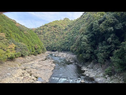 京都　トロッコ列車　嵯峨駅　亀岡駅　2022年10月31日　紅葉状況　ver3 車窓　Trolley train