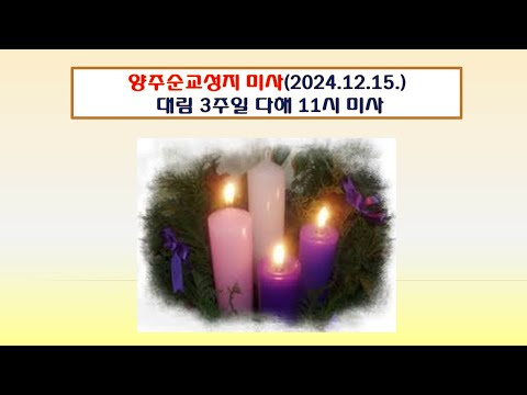 양주순교성지 미사(대림3주일 다해 11시미사 2024.12.15.)