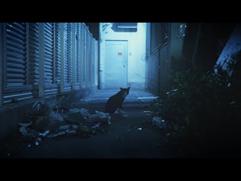 夜の視線 | 香川県 高松中央商店街 | Cinematic Video | SONY FX3