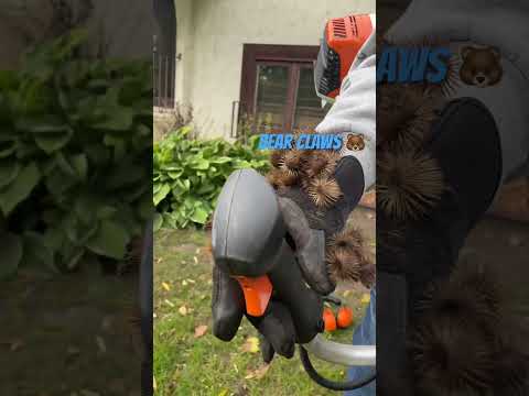 Covered in Burrs @BulldogTractor #shorts #short #youtubeshorts #stihl #landscape