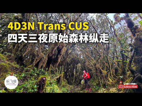 【短视频】4D3N Trans CUS (Chamah / Ulu Sepat) 马来西亚G7之第五&第七高峰 | 苔藓森林 | 吉兰丹 | 霹雳