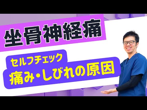 【坐骨神経痛】お尻や足の痛みとしびれの原因｜今治市　星野鍼灸接骨院