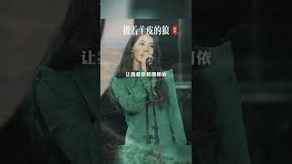 循环播放，久听不厌，叩击心灵，感动不已音乐伤感音乐披着羊皮的狼