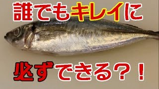 見たらやってみたくなるアジの捌き方 with English subtitle