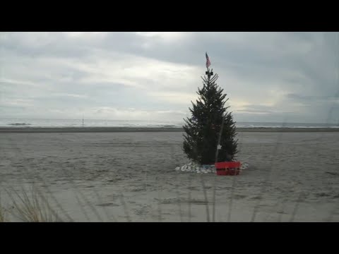 Christmas trees on beaches in Jersey Shore town spread holiday cheer, goodwill