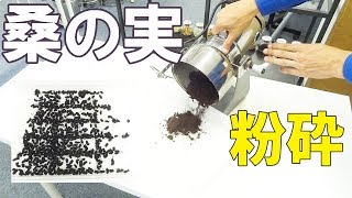 【マルベリーパウダー】小型粉砕機で桑の実をパウダー加工（ハイスピードミル）