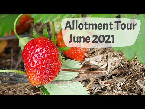 June Allotment Tour 2021