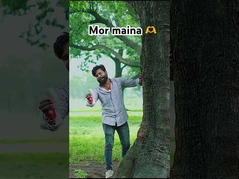 Mor maina 2 Cg Song #yorudravlogs #kariyatura #amleshnagesh