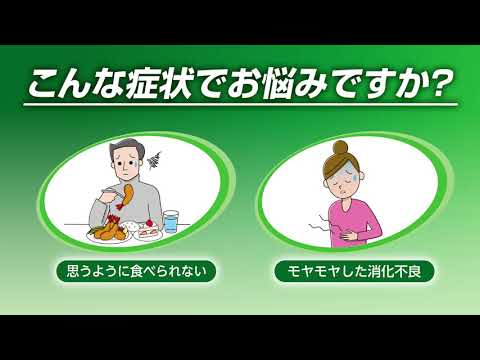 自分の症状に合った胃腸薬が選べる大正胃腸薬シリーズ【大正胃腸薬バランサー】